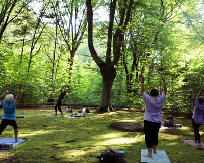 Gentle Yoga Class in New Hope