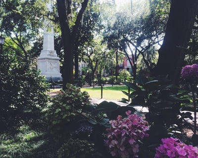 Explore Savannah Historic District on a 2-Hour Walking Tour