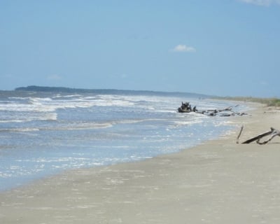 Private Little Tybee Boat Tour From Tybee Island