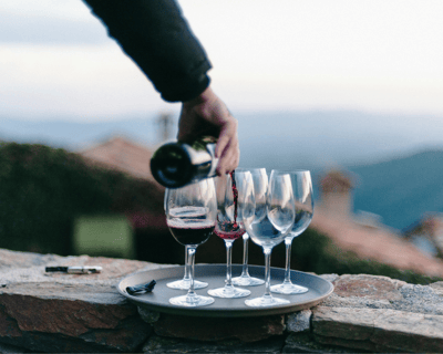 Valle de Guadalupe Wine & Culinary Tour