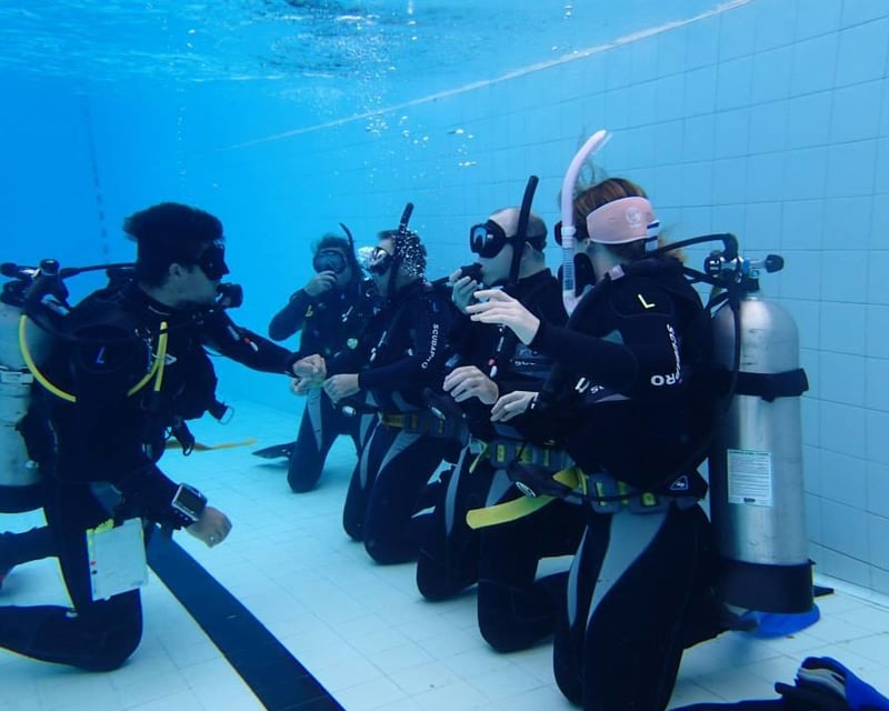 PADI Scuba Refresher Course & Reef Dive in Key Largo