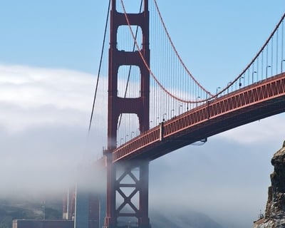 5-Hour Muir Woods Tour With Sausalito Stop