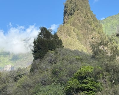 Upcountry Maui Day Tour