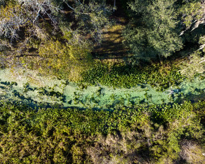 Clear Kayak Tour at Rock Springs