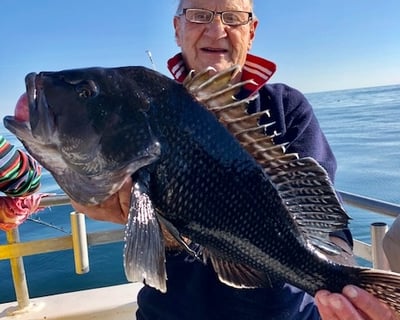 Montauk Summer Bottom Fishing Charter