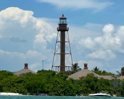 Dolphin Sightseeing Cruise in Cape Coral