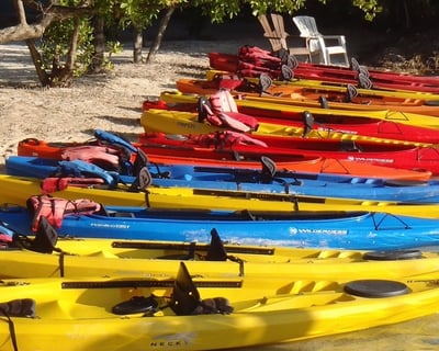 Sunset Guided Kayak Tour in Islamorada