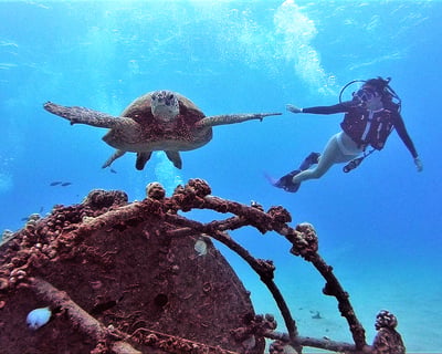 2-Tank Boat Scuba Dive in Honolulu