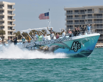 Daytime Dolphin Cruise In Destin