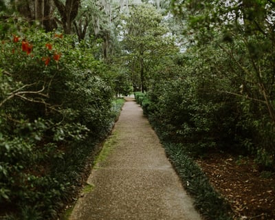 1-Hour Garden & Grounds Tour in St. Francisville