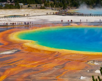 Yellowstone Private Day Tour
