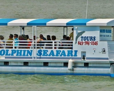 Hilton Head Dolphin & Donut Cruise
