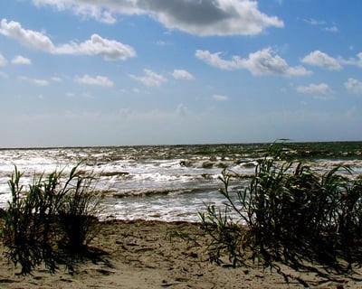 Hilton Head Island 14-Day Bike Rental
