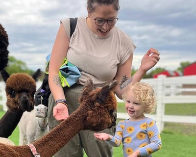Meet Alpacas & Learn Award-Winning Farm Care