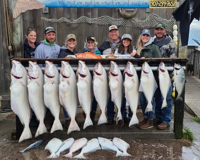 6-8 Hour Guided Halibut Fishing Charter in Homer