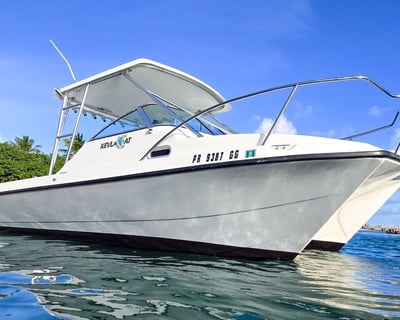 Fajardo Catamaran Snorkeling Charter