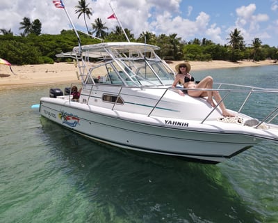 Vieques Full-Day Guided Snorkeling Charter