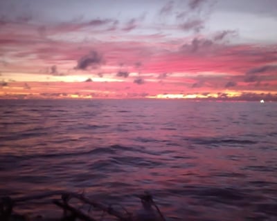 Waikiki Sunset Cruise
