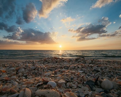 Hilton Head Private Boat Tour to Vanishing Island