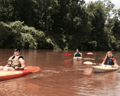 Float the Ocmulgee River on a Guided Kayak Tour