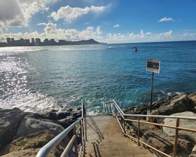 Guided Shore Dive at Point Panic