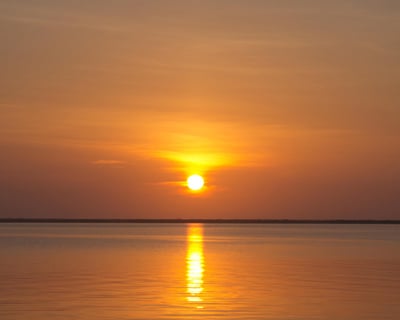 Mosquito Lagoon Birdwatching Charter