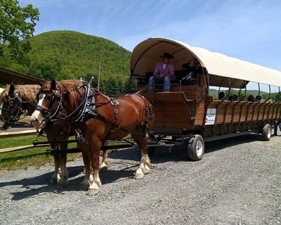 PA Grand Canyon Horse-Drawn Wagon Tour