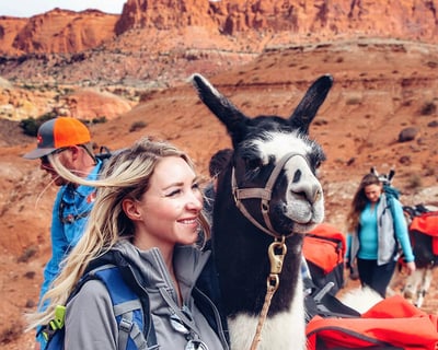 Guided 2-Hour Llama Hike