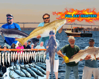 Solomons Full-Day Fishing Charter