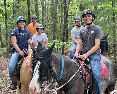 2-Hour Mountain Trail Ride in Montebello, VA