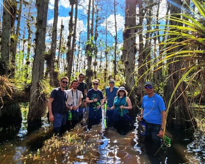 Guided Everglades Wet Walk & Airboat Tour