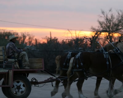 Sunset Hayride & Cookout in Scottsdale
