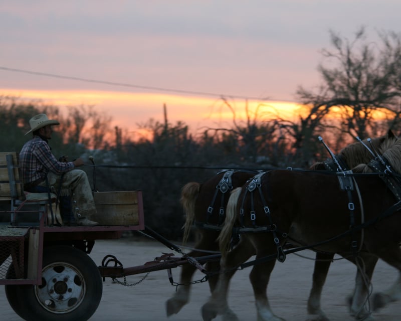 Sunset Hayride & Cookout in Scottsdale