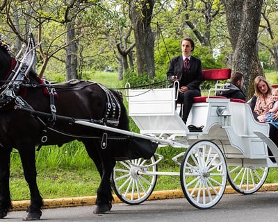 Horse-Drawn Carriage Tour of Central Park