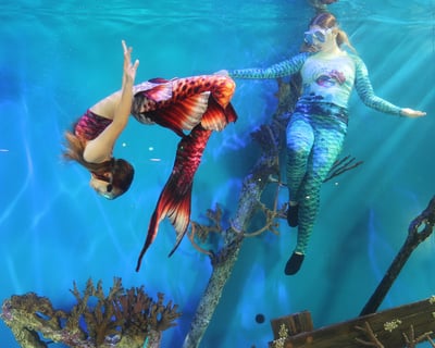 Mermaid Certification Course in Lecanto