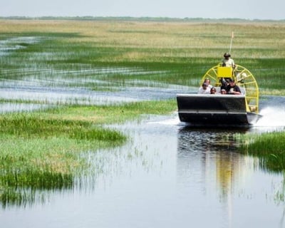 4-Hour French-Guided Everglades Tour From Orlando