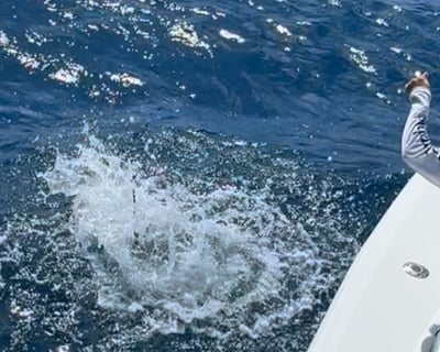 Miami 4-Hour Private Charter