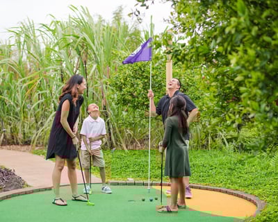 9-Hole Night Golf & Gardens