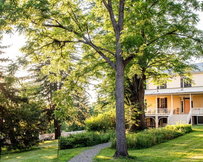 2-Hour Guided Tour in Catskill