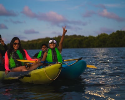 Fajardo Bioluminescent Night Kayaking Tour