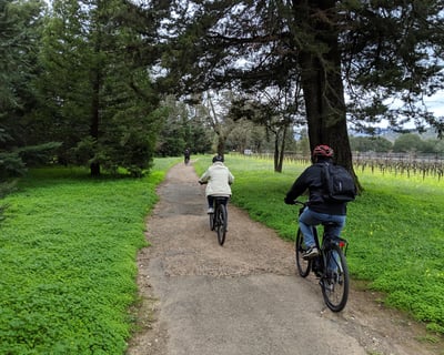 Sonoma Wine Country Bike Tour to 2 Wineries