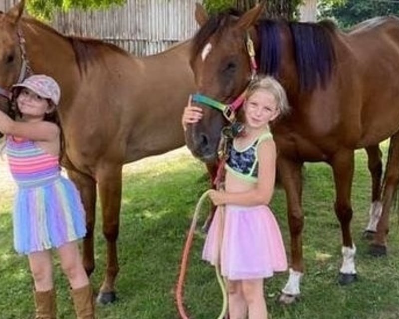 Guided Western Horseback Trail Ride in Westford, MA