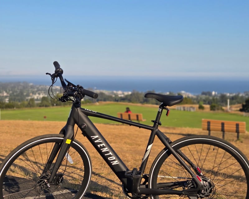 Road E-Bike Rental in Santa Cruz