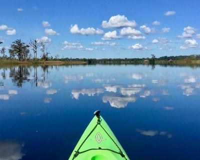Paddle the Combahee River Kayak Tour
