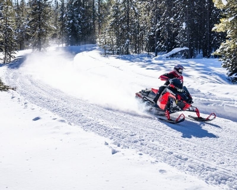 Full-Day Snowmobile Rental in Bighorn National Forest