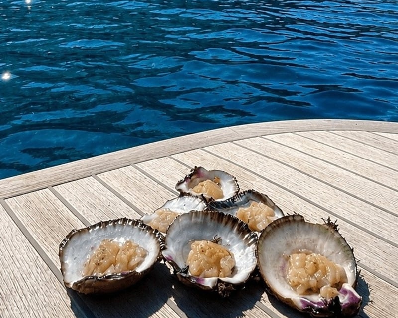 Private Full-Day Channel Islands Charter from Santa Barbara