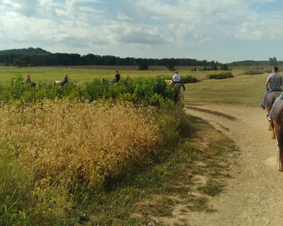 Ride a 1.5-Hour Gettysburg Scenic Trail Ride