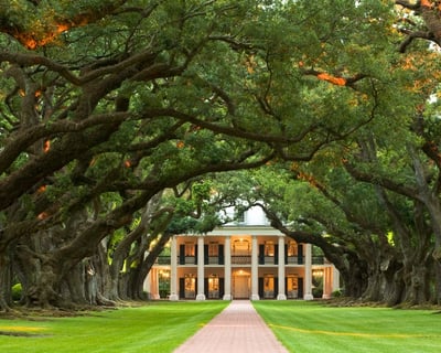 Oak Alley or St. Joseph Plantation Tour