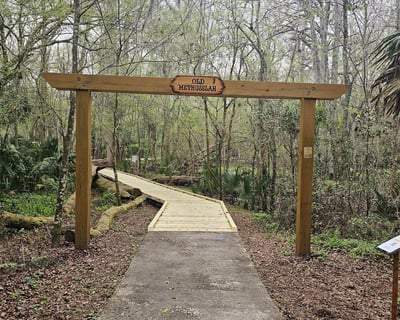 Guided 50-Minute Nature Walk in De Leon Springs