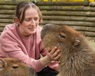 30-Minute Capybara Encounter in Tucson
